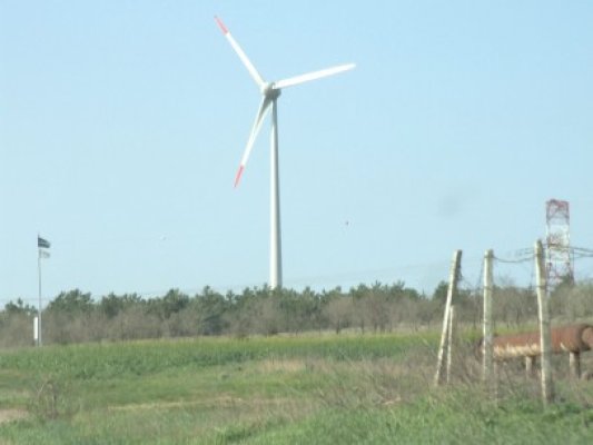Guvernul va eşalona subvenţia la energia regenerabilă